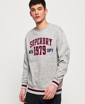 Superdry College Boxy Fit Applique Crew Férfi Pulóver Szürke | AWCGI8703